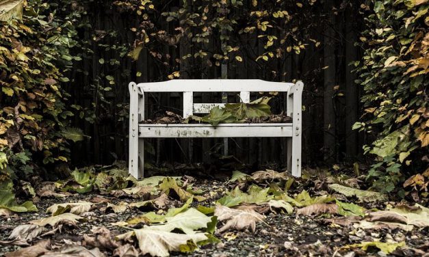Herfsttrends van 2018 voor je achtertuin