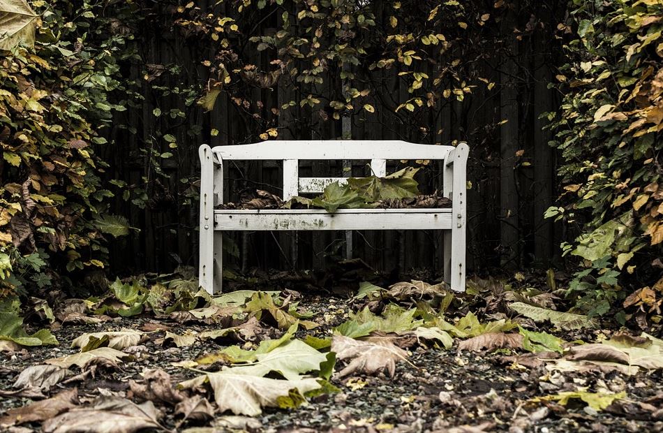 Herfsttrends van 2018 voor je achtertuin