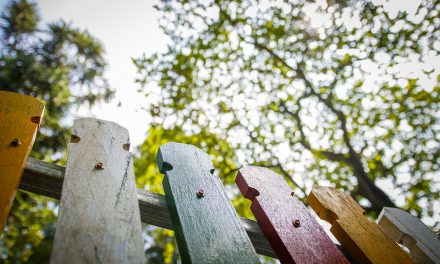 Tips om samen met de buren een schutting te plaatsen
